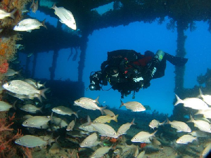 Technischer Taucher mit KreislaufgerÃ¤t, Trimix und Stageflaschen in einem tiefen Wrack